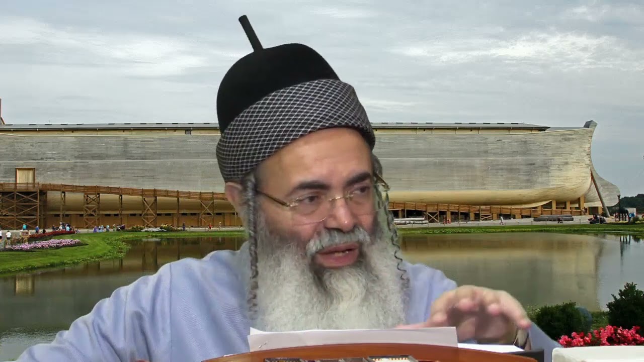 פרשת נח | מדוע לא בקש נח רחמים על דורו? • הרב אמנון יצחק