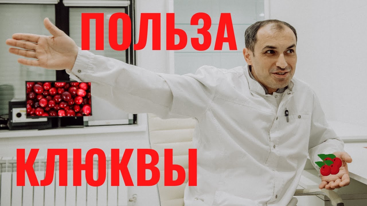 Клюква улучшает память и снижает холестерин. Флеболог Москва.
