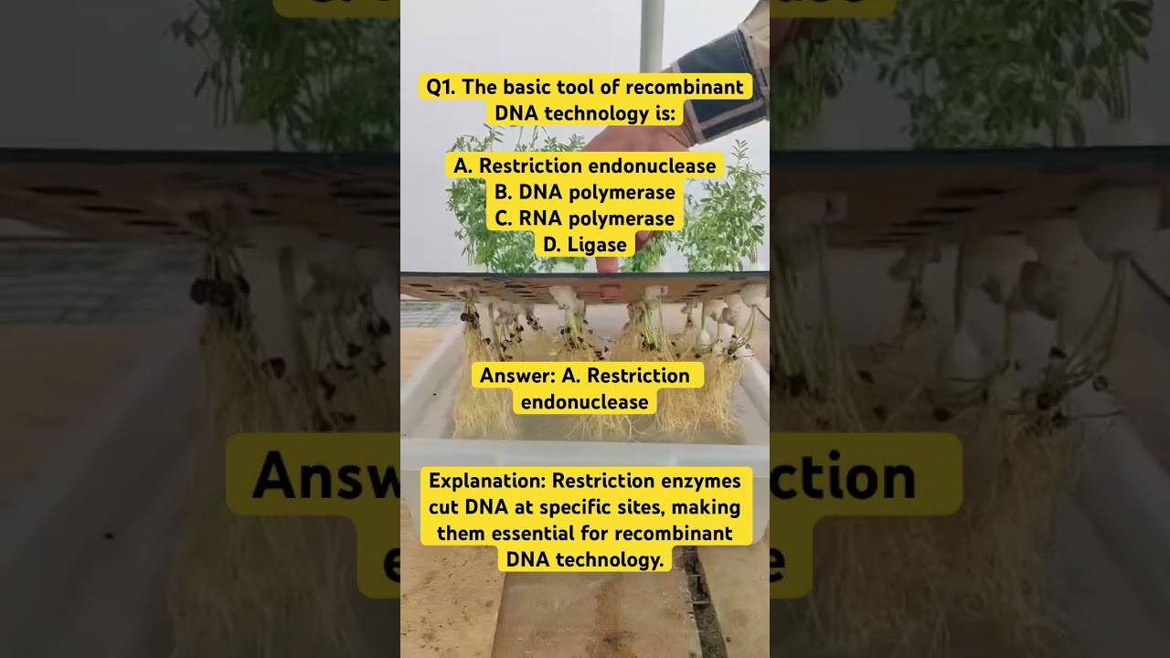 Recombinant DNA Technology || MCQ || Q. 1 #RDT