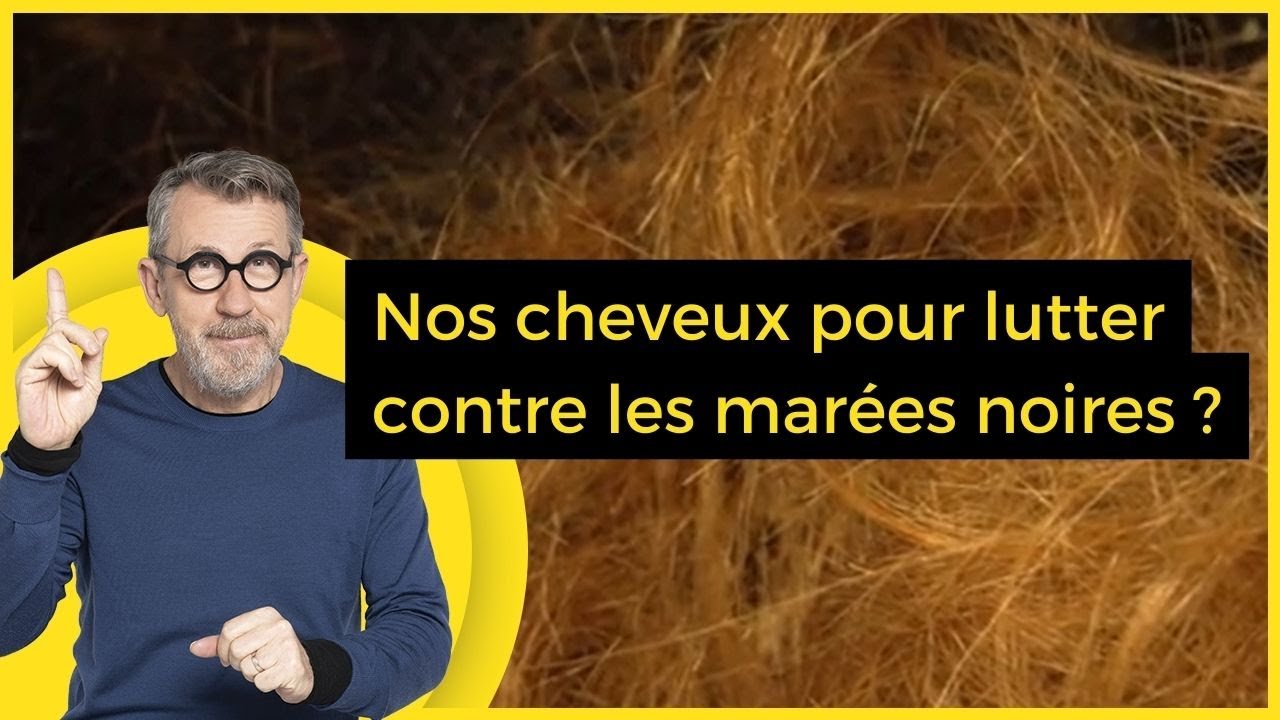Nos cheveux pour lutter contre les marées noires ? - C Jamy