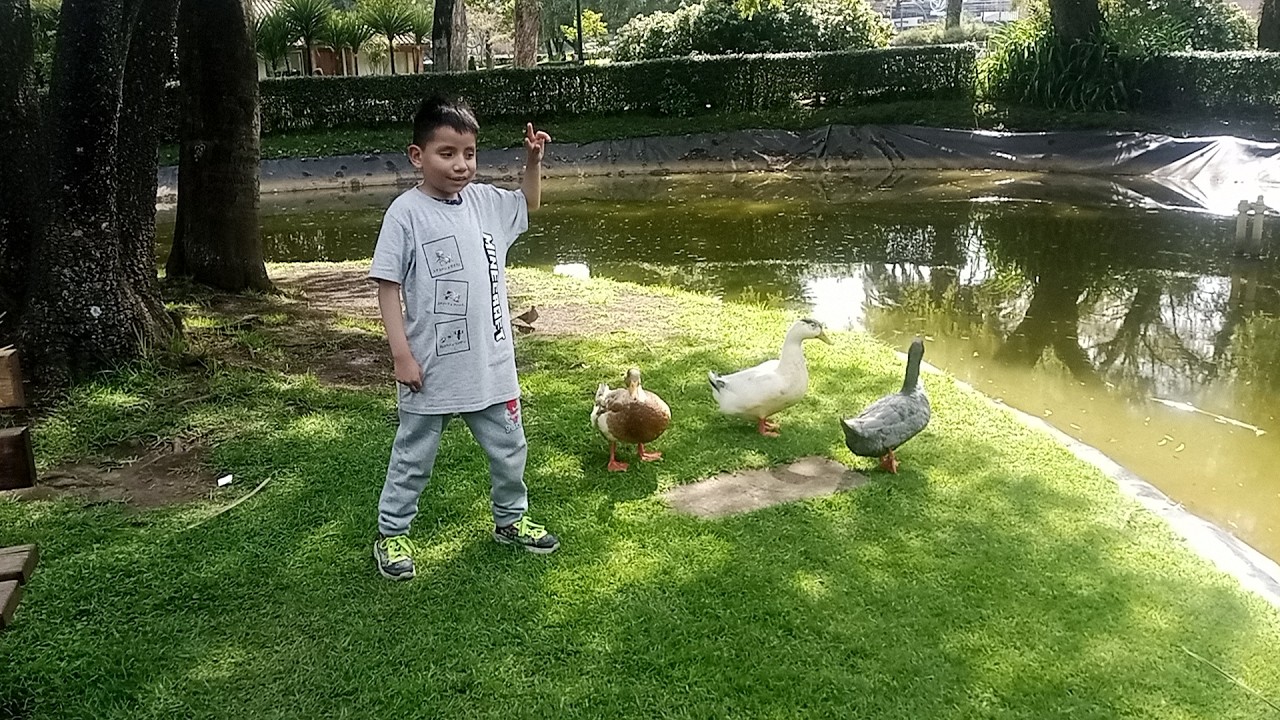 Visitando a los Patos y Perdemos la Gorra en el Parque