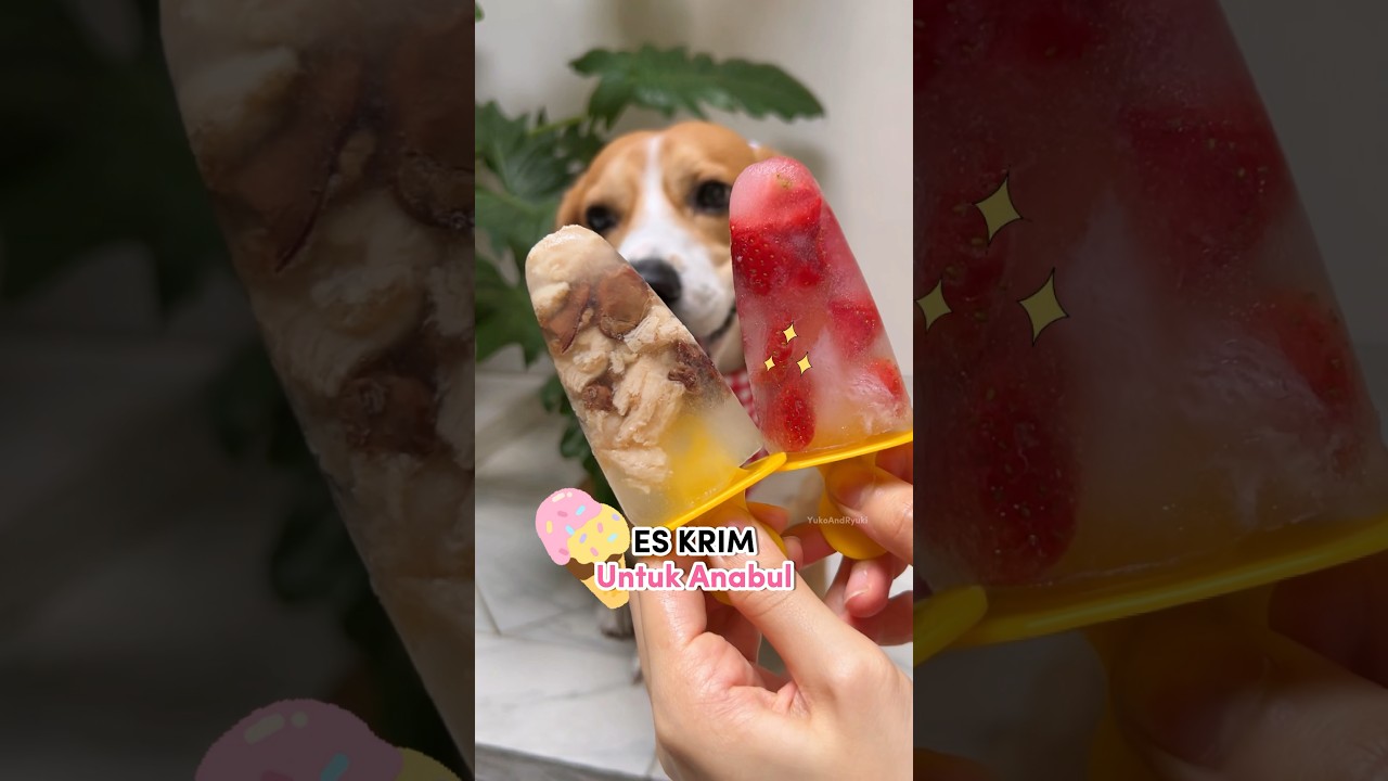 BUAT ES KRIM UNTUK ANABUL‼️😍🍓 #shorts #anjinglucu