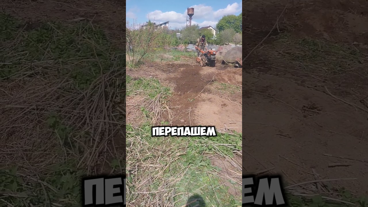 готовим площадку под ивы #сад #растения #garden #plant #shorts