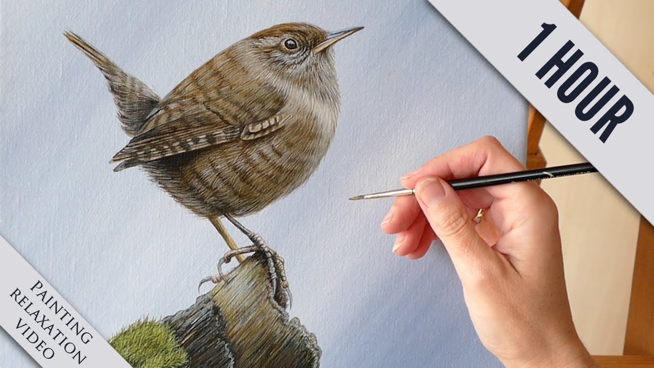 1 hr Painting a Wren in Acrylic | Relaxation & Calming Painting Video | Zen Meditation Painting