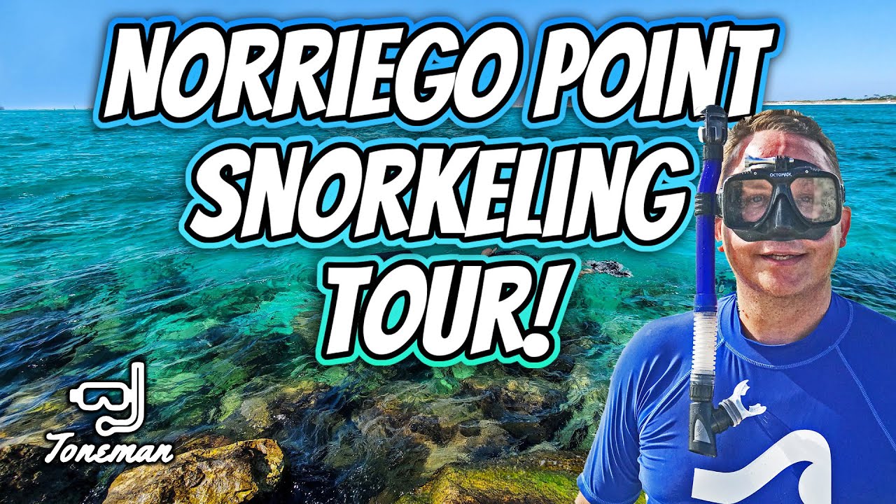 Destin Norriego Point Post Restoration Snorkeling Tour!