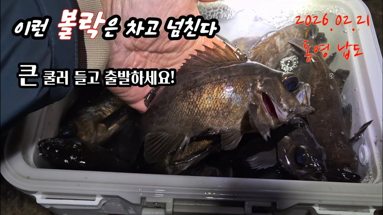 볼락이 바글바글 합니다..누구나 한쿨러 잡을수 있다