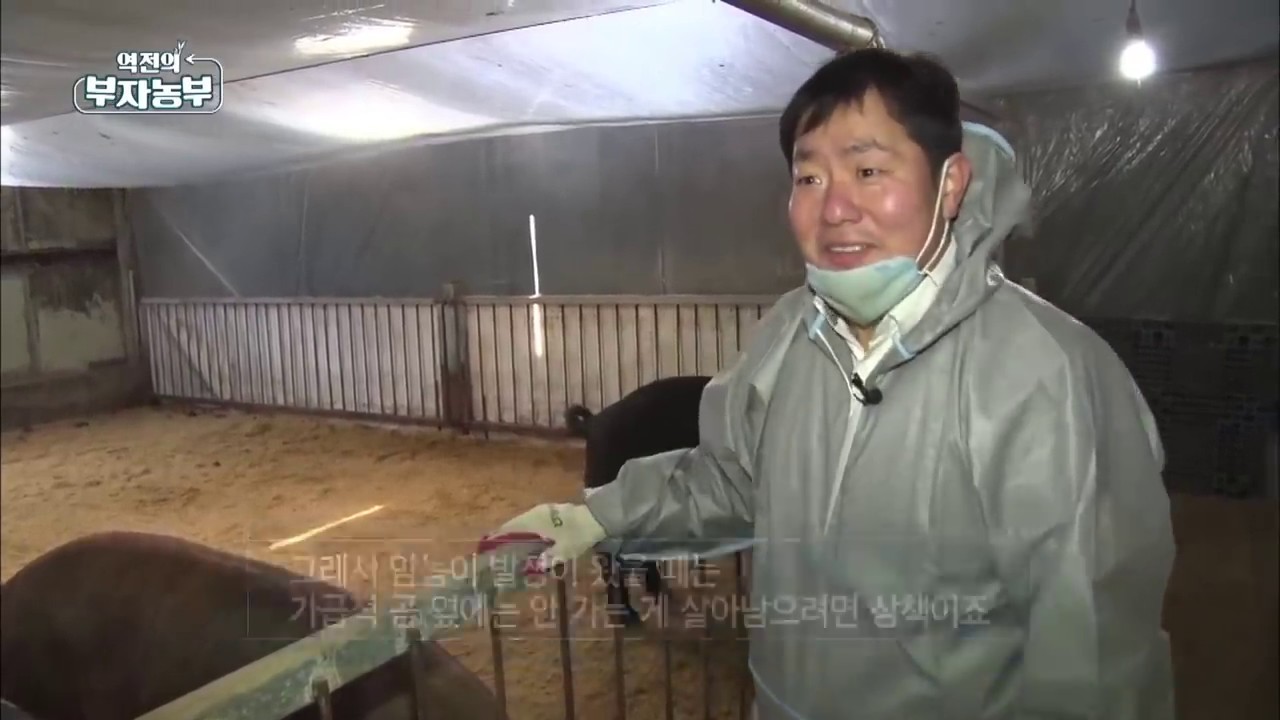 [26회] 부자농부로 만들어 준 황금돼지는 정체는?? '경기도 양주시 송인만 부자농부'