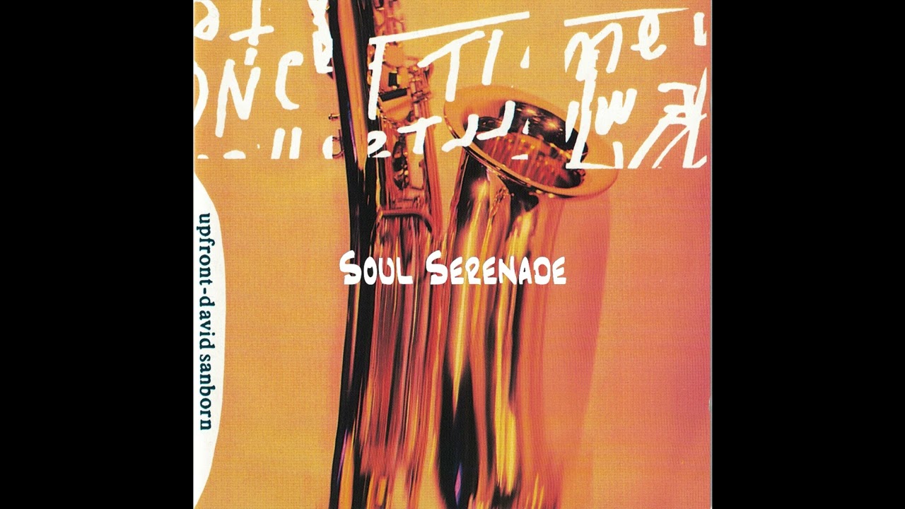 Davis Sanborn - Soul Serenade #jazz #jazzmusic #jazzfusion #fusion #listening #jazzinstrumental