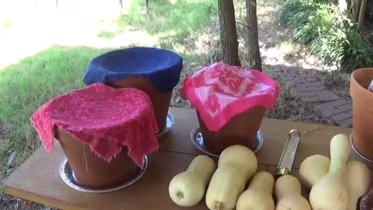 Using Zeer Pots To Keep Vegetables Cool Off Grid without Electricity