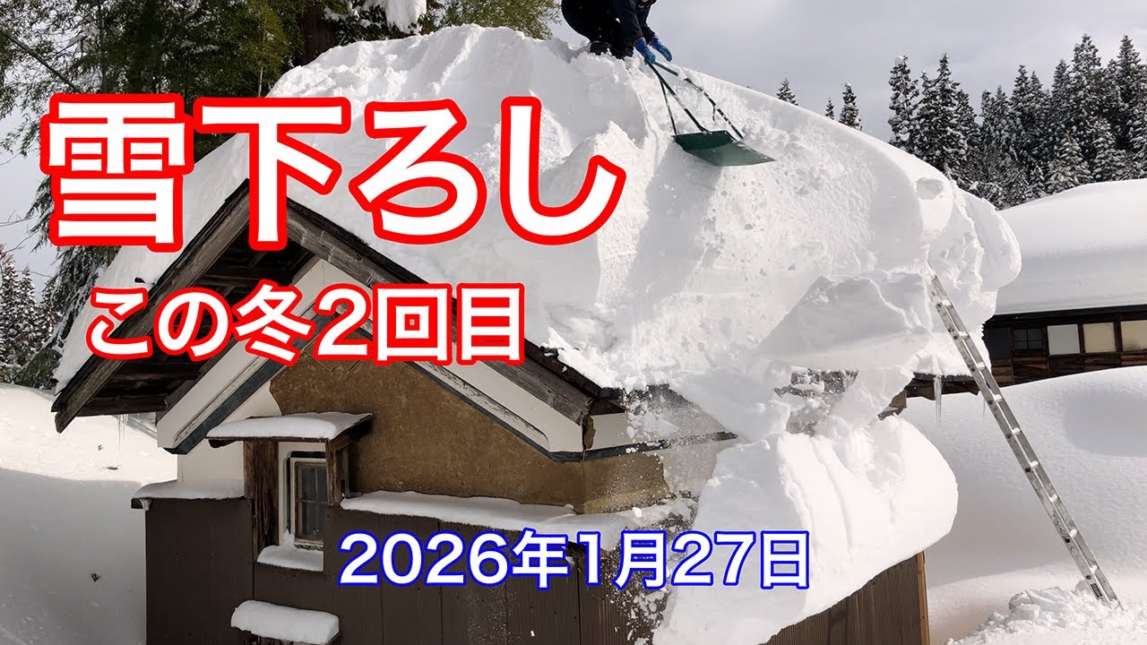 《等倍速》この冬2回目の屋根雪下ろし（蔵）2026年1月27日　@新潟県十日町市大池 #snowremoval