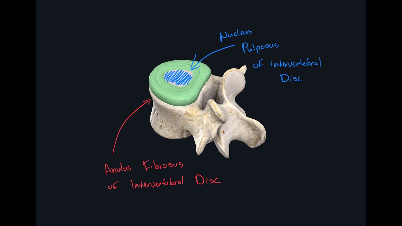 Axial Arthrology