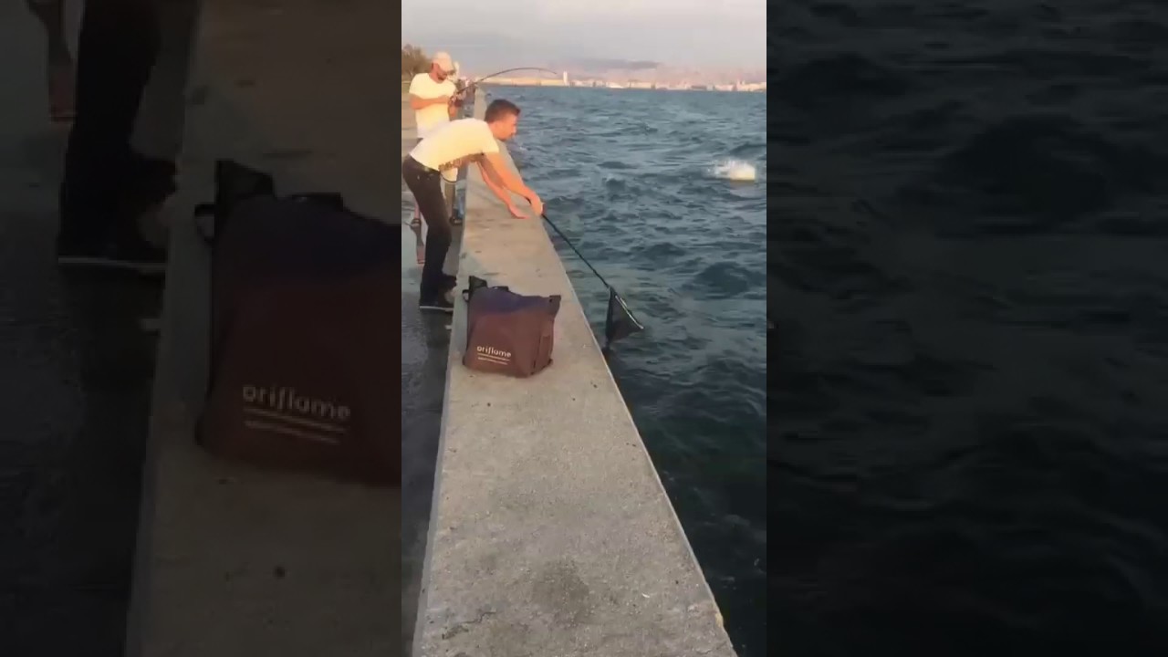 Fo&ccedil;a Spin Team - Umut Kaya