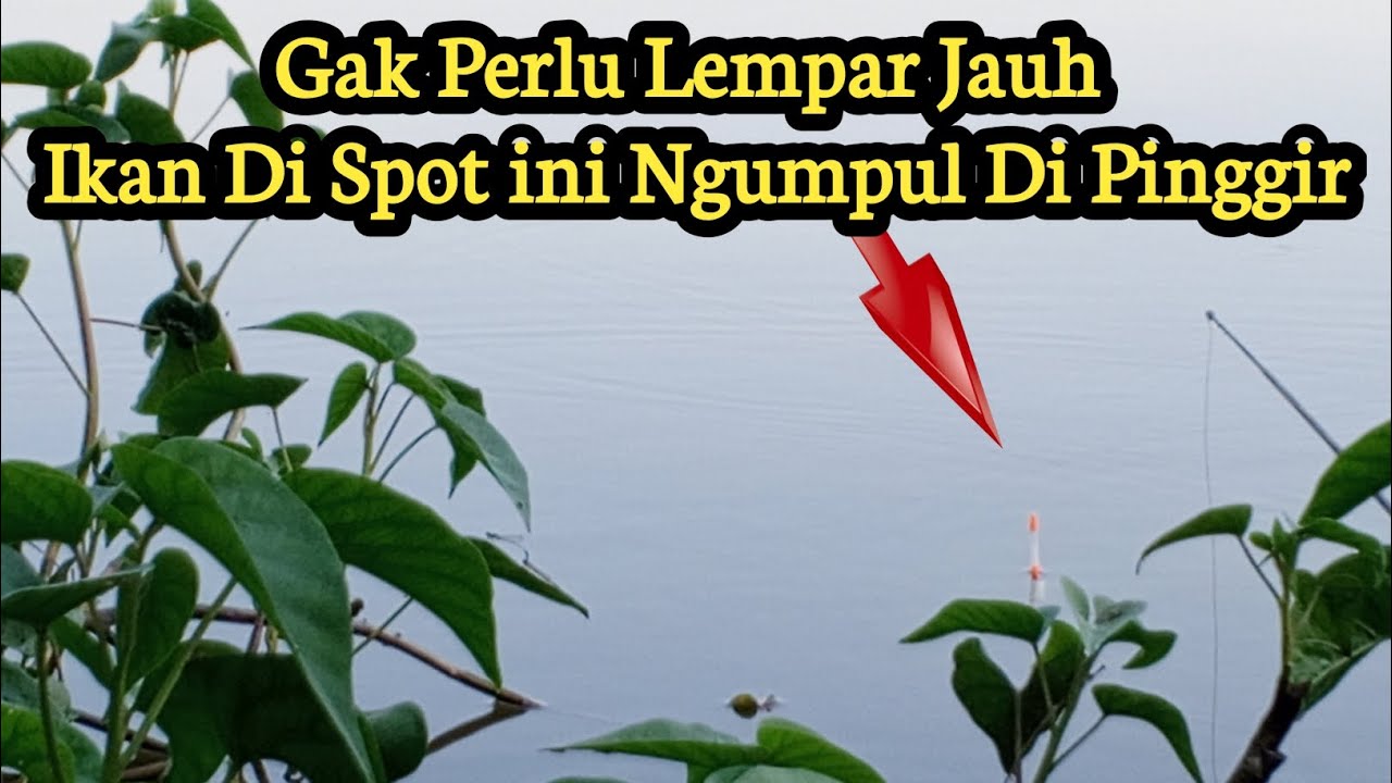 EDANNN‼️Ikan Di Spot ini Bener&sup2; Rakus||Mancing Di Pinggiran Auto Panen