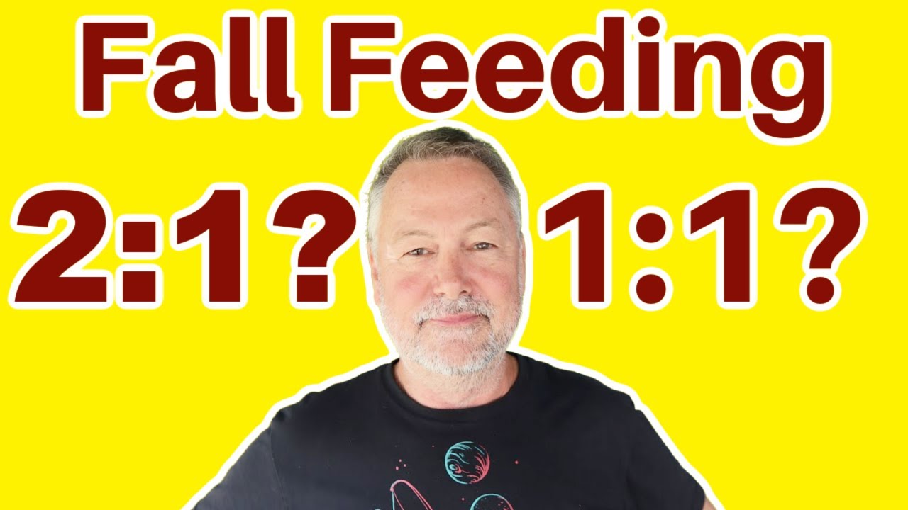 Beekeeping | How To Feed Bees In The Fall 2:1 OR 1:1 Sugar Water?