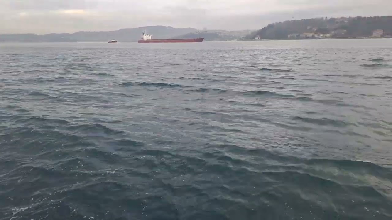 Fishing in the Bosphorus | A Peaceful Day in Istanbul Pesca en el B&oacute;sforo | Un D&iacute;a Tranquilo en 