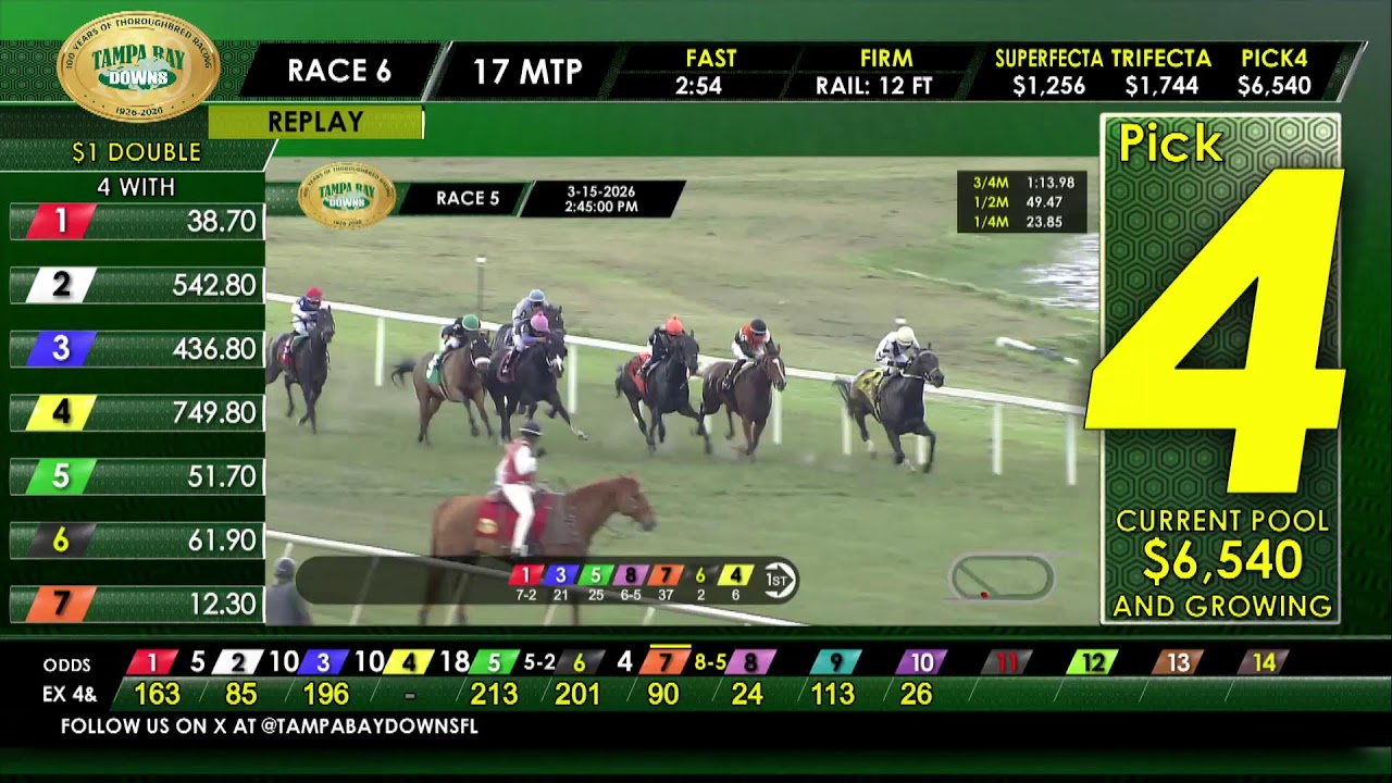 Tampa Bay Downs Live Stream