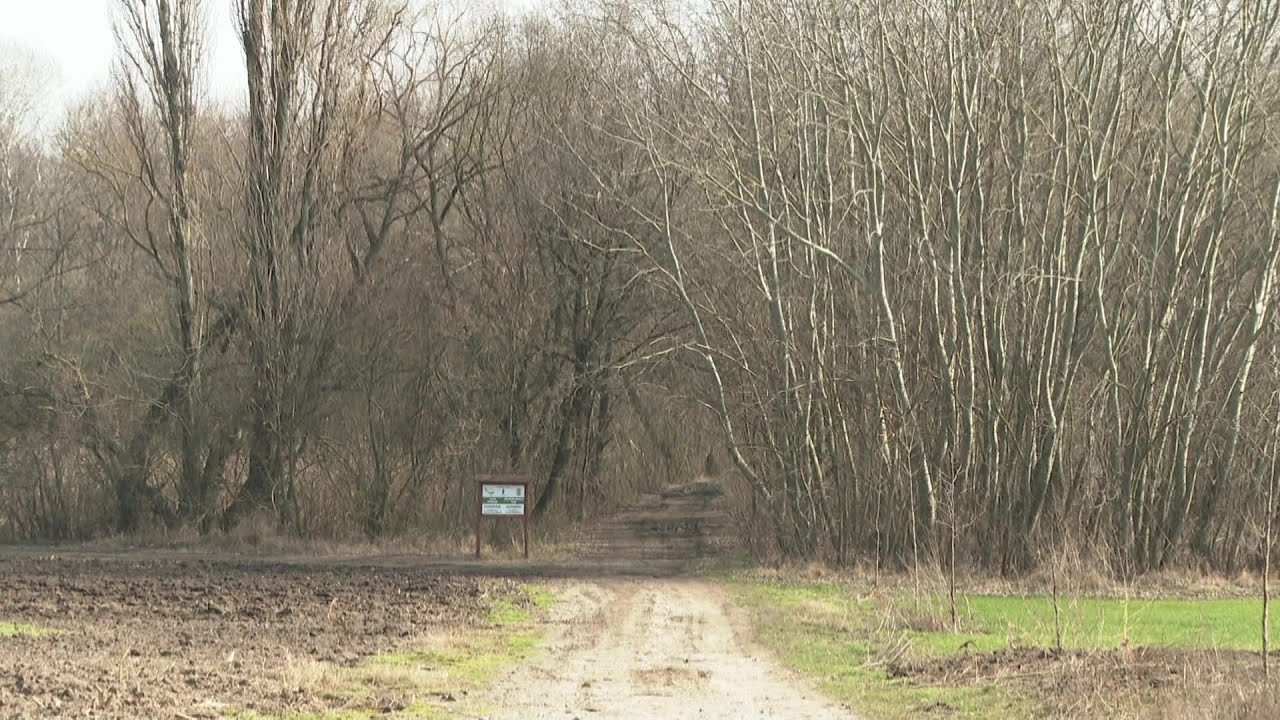 Közel-kép – Horgos nevezetességei