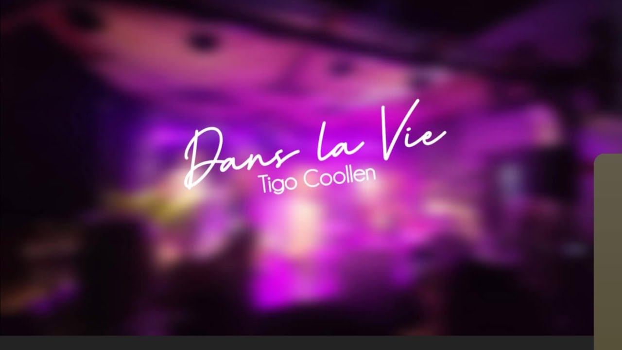 Dan la vie (Tigo Coollen) cover by Leritaz latanier and Teyan Coollen