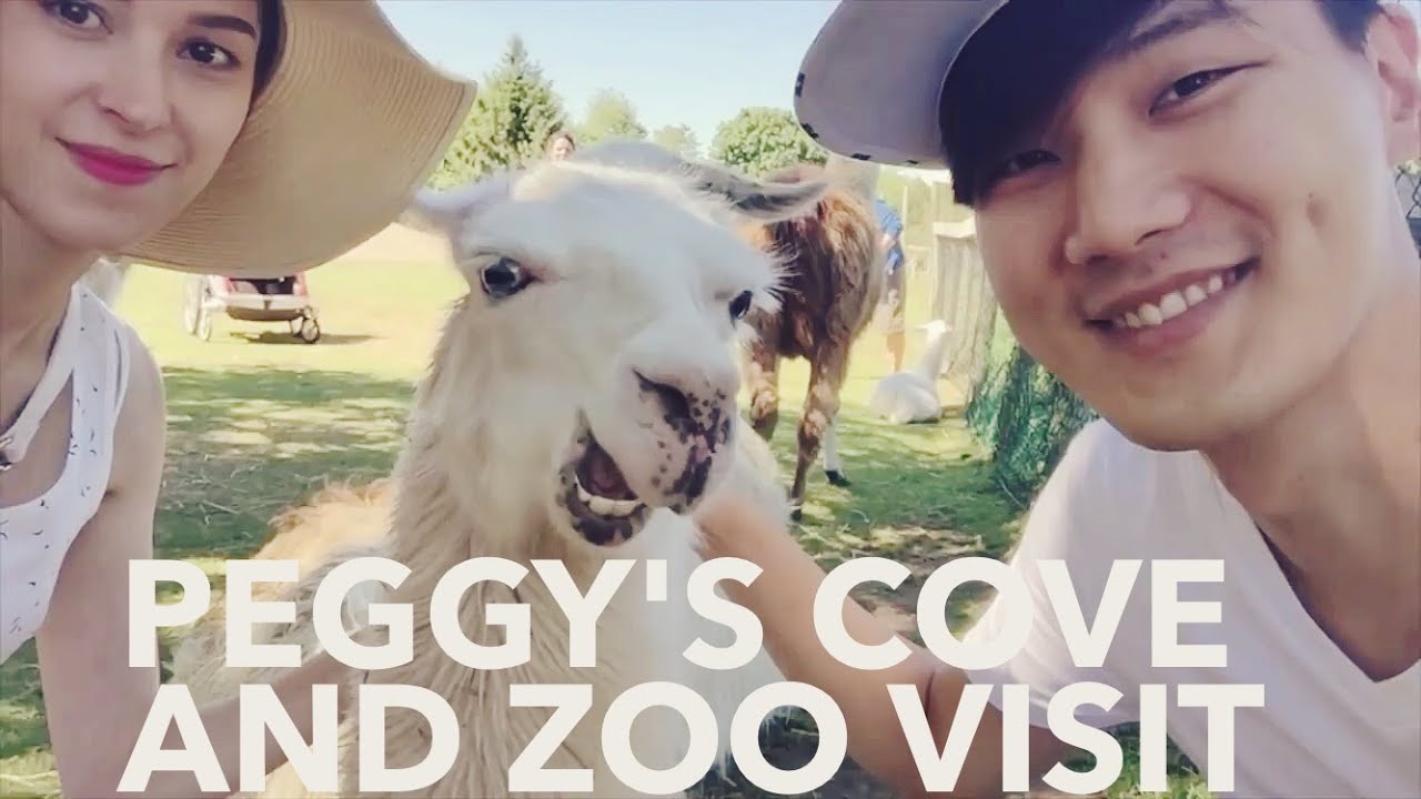 Nova Scotia, Canada | Peggy's Cove & Oaklawn Farm Zoo 캐나다 페기스코브와 동물원 (자막 CC)
