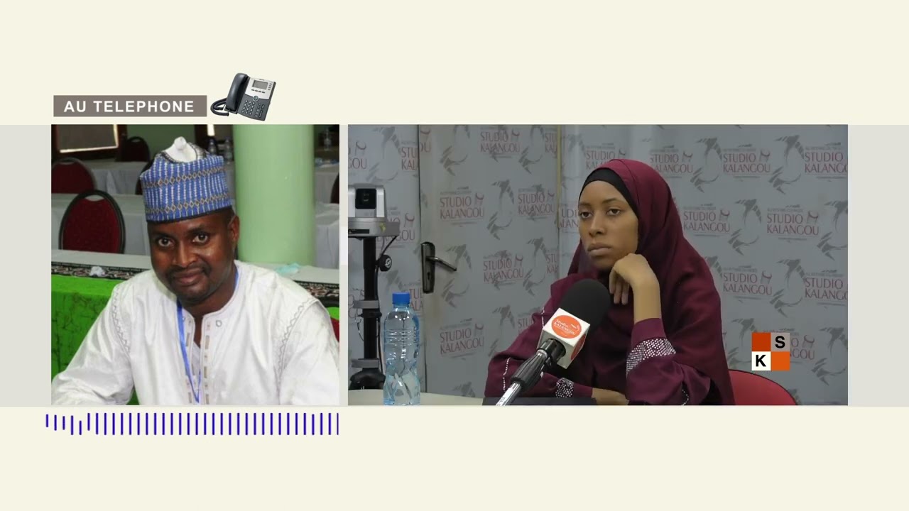 La problématique de l’entreprenariat des jeunes au Niger : comment y faire face ?
