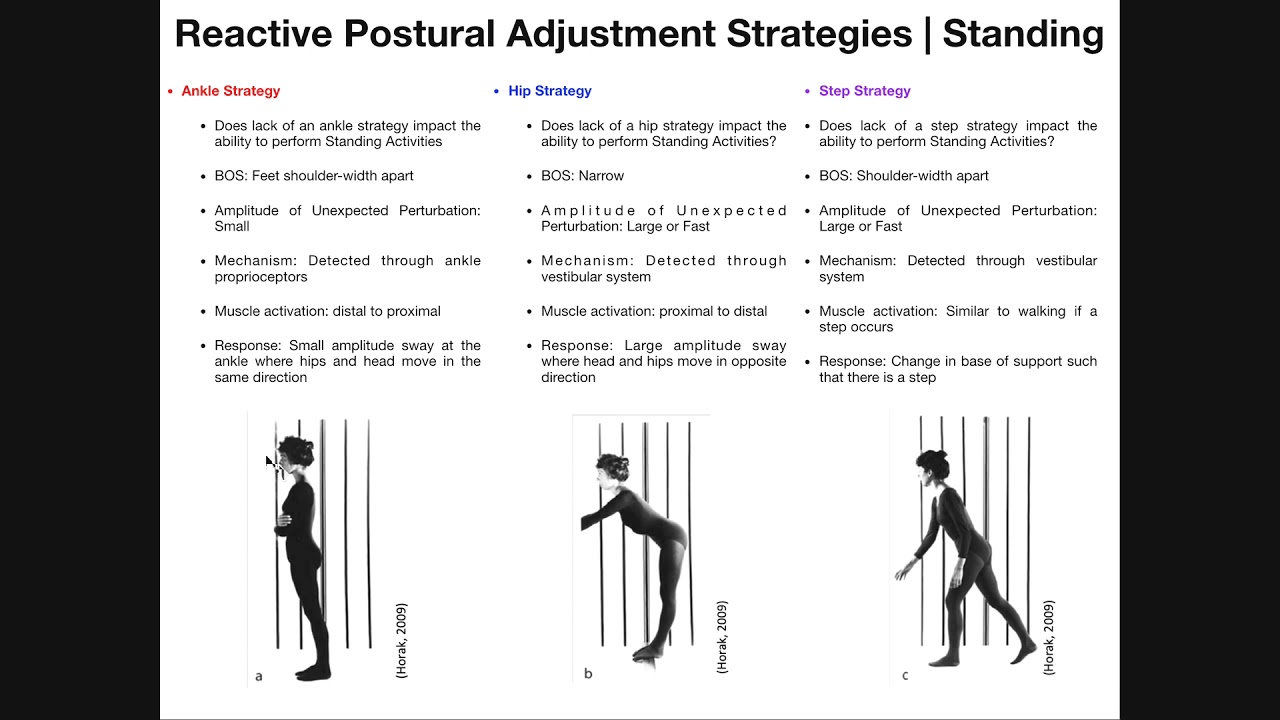 Reactive Postural Adjustments | Strategies For Maintaining Balance