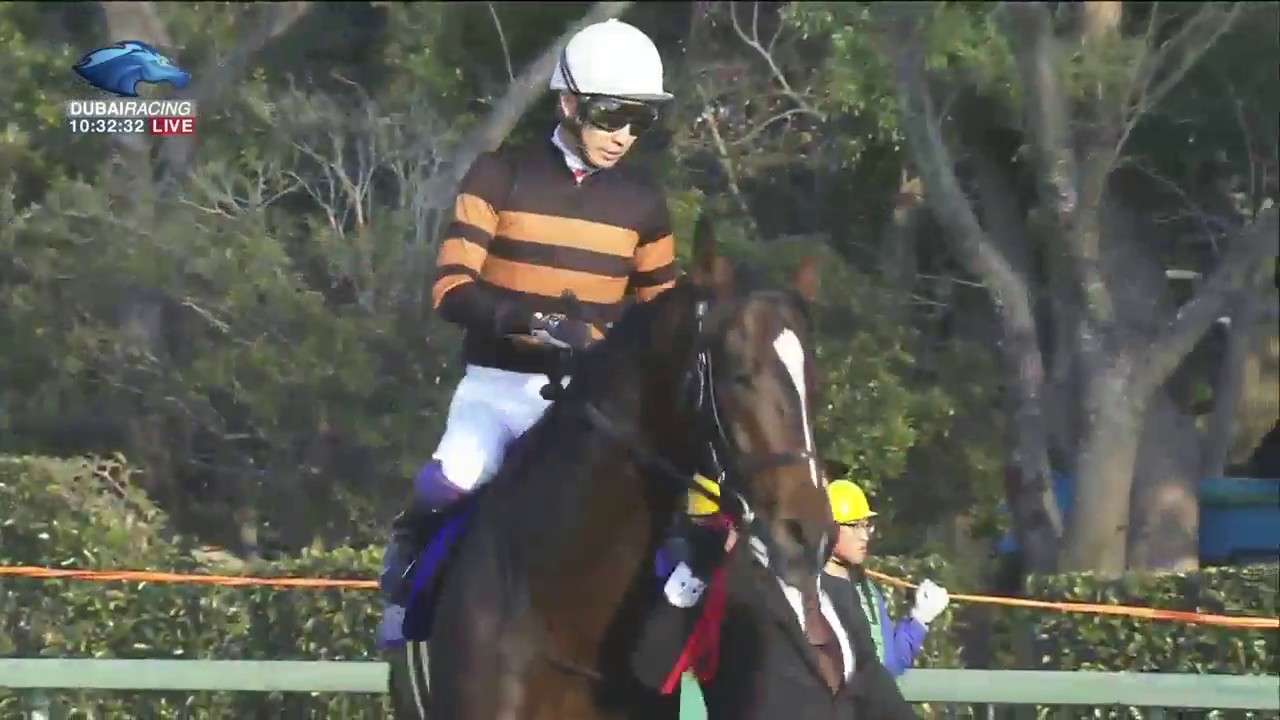 2017.12.24 Arima Kinen (The Grand Prix)(JPN) - Kitasan Black