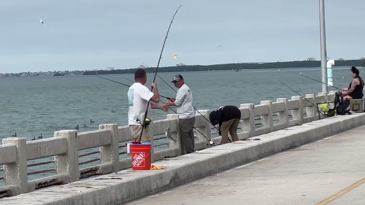 🔴 супер РЫБАЛКА в океане 🔴 с пирса у ШИКАРНОГО моста Tampa Bay Florida USA November 2023