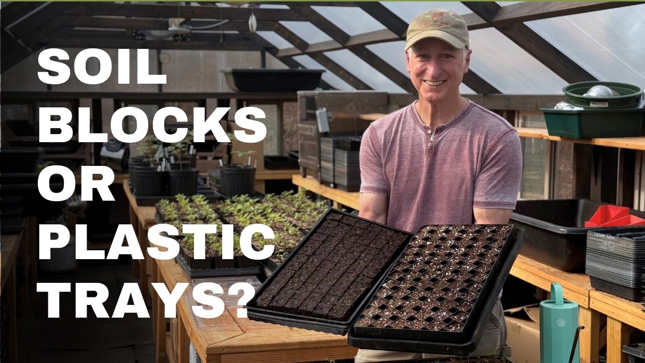 The Truth About Soil Blocks vs Plastic Cell Trays