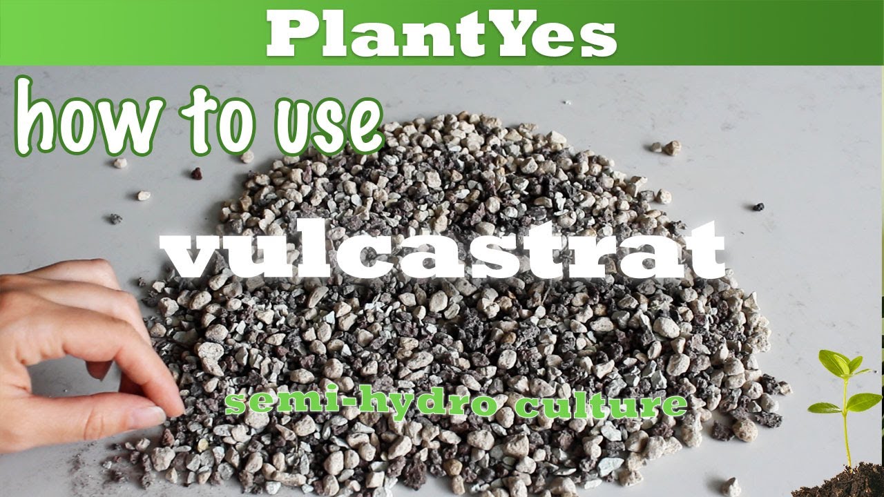 Vulcastrat: what is it and sharing my experiences