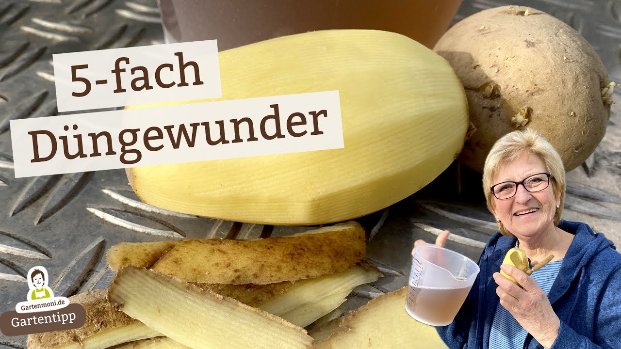 5 Varianten: Kartoffelschalen-Dünger selber machen (ganz umsonst)