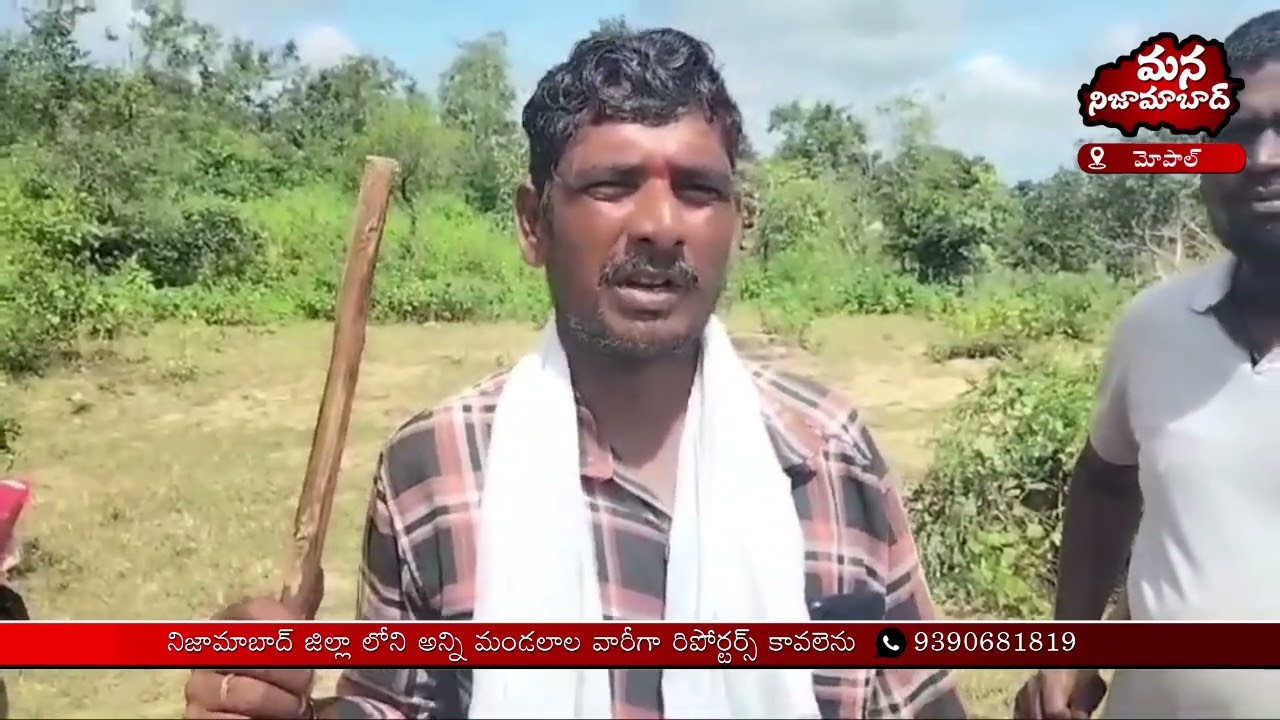 Cheetah Roaming in the Forest Area of ​​Kulaspur Village | Mana Nizamabad