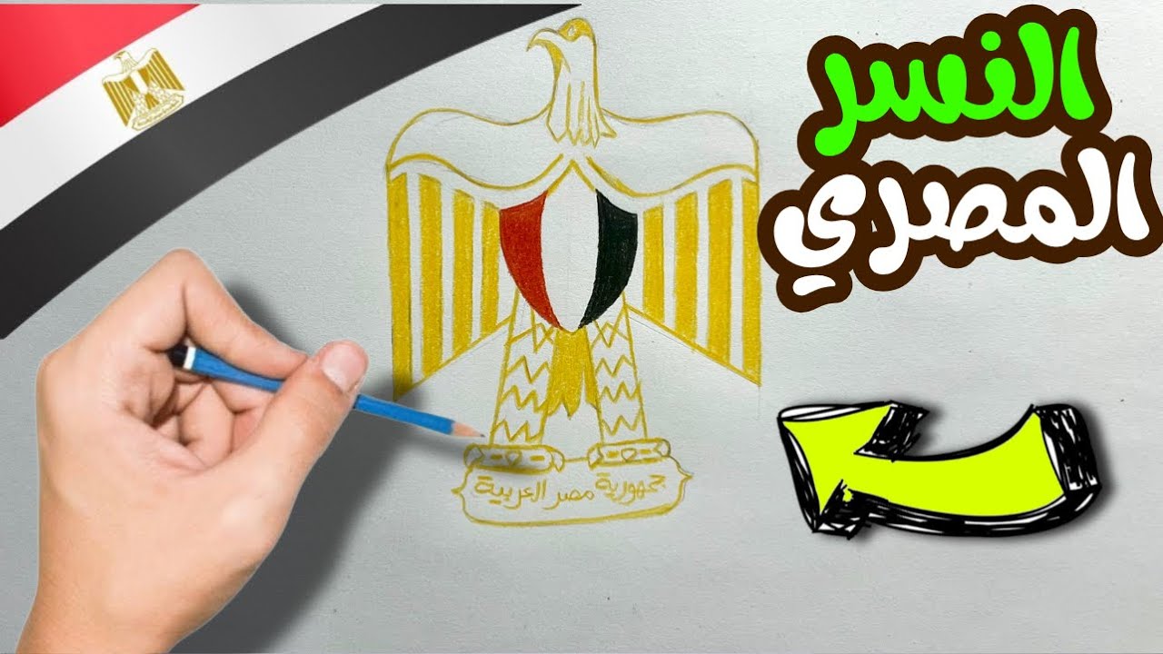 رسم نسر علم مصر | طريقة رسم نسر علم مصر 