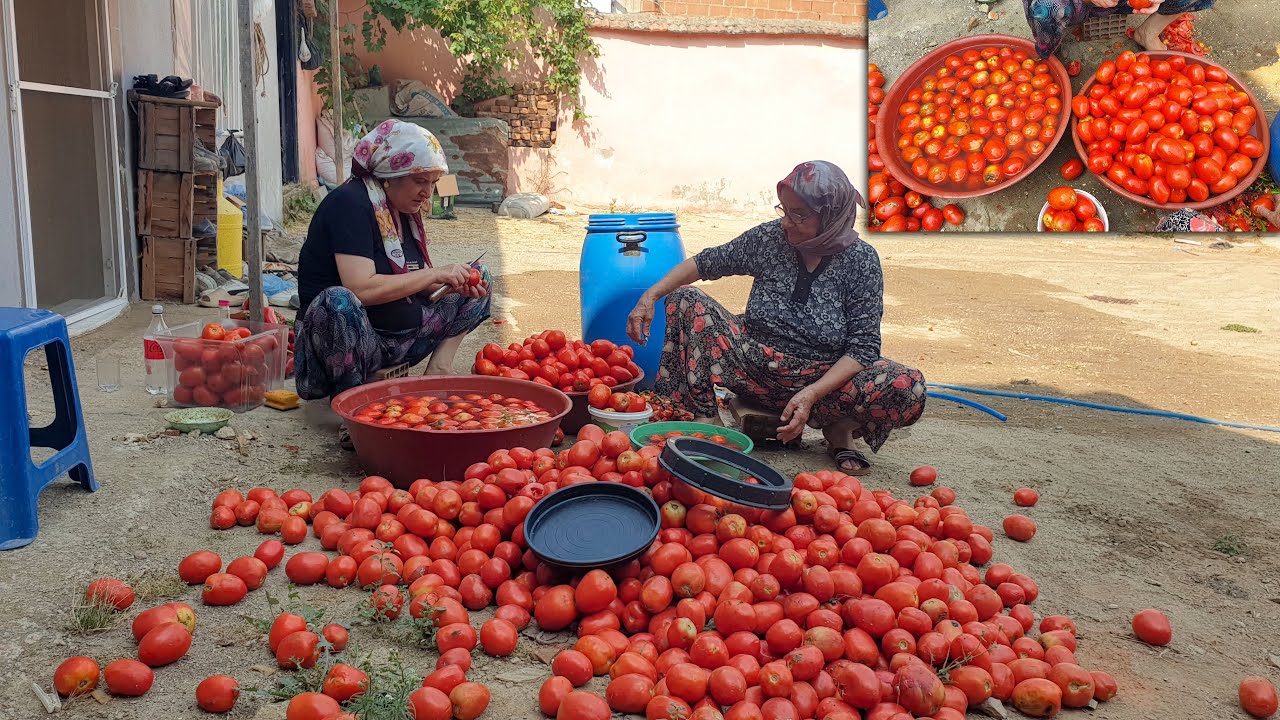 Bu Salça Makine İle Yapılıyor ❗️ Yapımı Çok Ama Çok Kolay ❗️ Evde Domates Biber Salçası Tarifi
