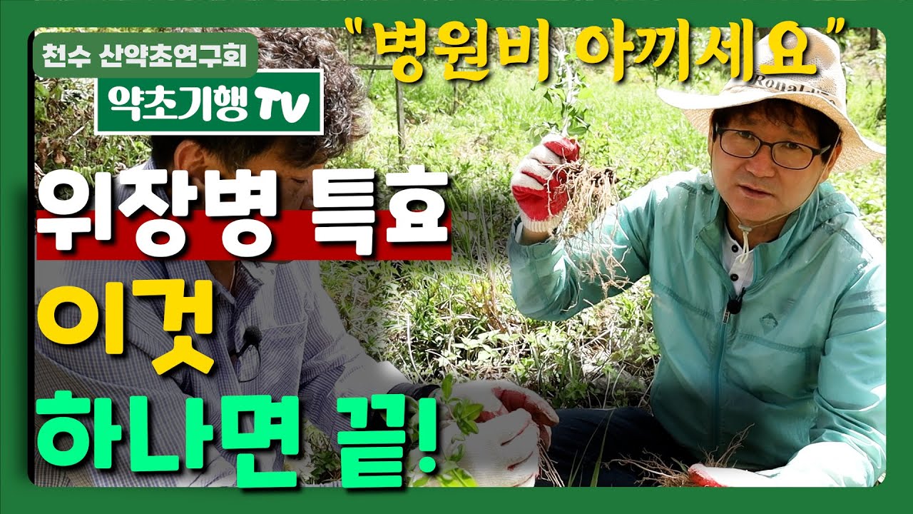 위장병 특효 이것 하나면 끝!