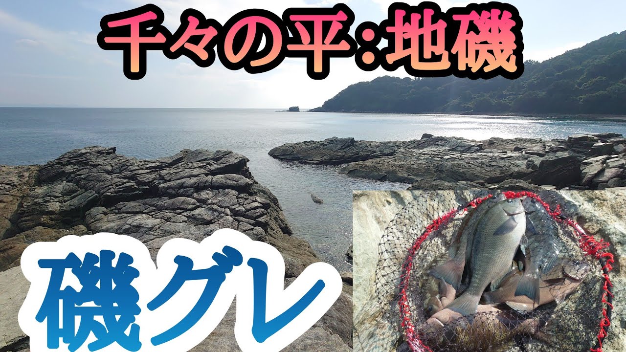 千々の地磯❗磯グレ❗マジカグレ❗