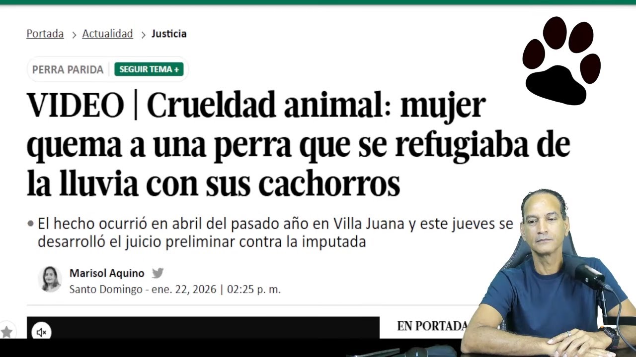 Debe el Gobierno Esterilizar los Perros y Gatos Callejeros ?