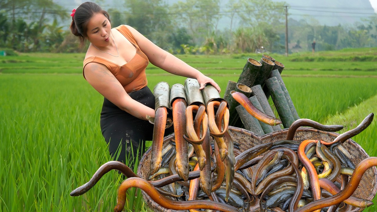 I Left Bamboo Traps Overnight and Found THIS… Monster Eels!