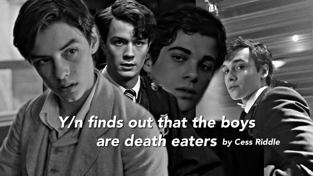 Pov: Y/n finds out that the boys are death eaters WHOLE SERIES