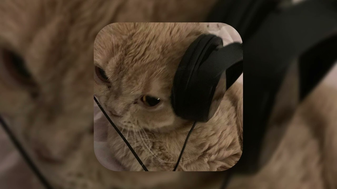 Marc Seguí - Tiroteo Remix [sped up] ft. Rauw Alejandro y Pol Granch