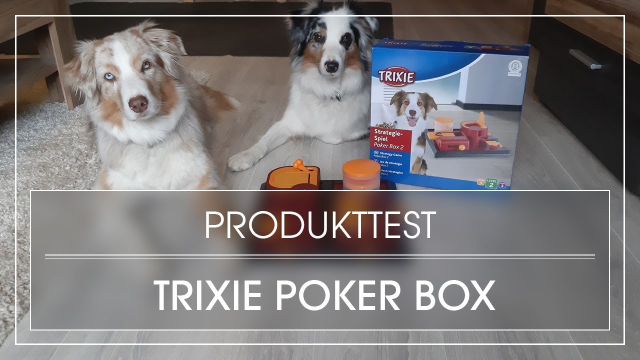 Produkttest: Poker Box 2 von Trixie | Intelligenzspiel f&uuml;r Hunde | Strategiespiel f&uuml;r Hunde
