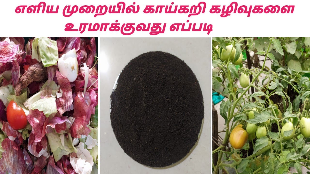 How to make compost from kitchen waste/காய்கறி கழிவுகளை உரமாக்குவது எப்படி