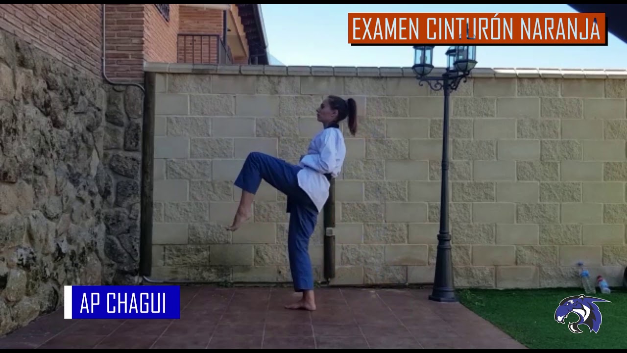 EXAMEN CINTURÓN NARANJA TAEKWONDO