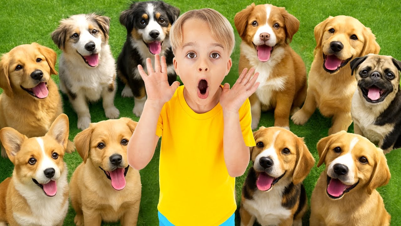 Kids Take Care of Animals at the Shelter