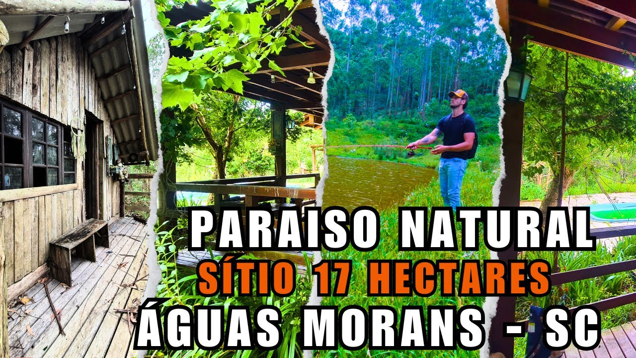 LINDO SÍTIO EM ÁGUAS MORNAS (17 HECTARES - Casa e Chalé)