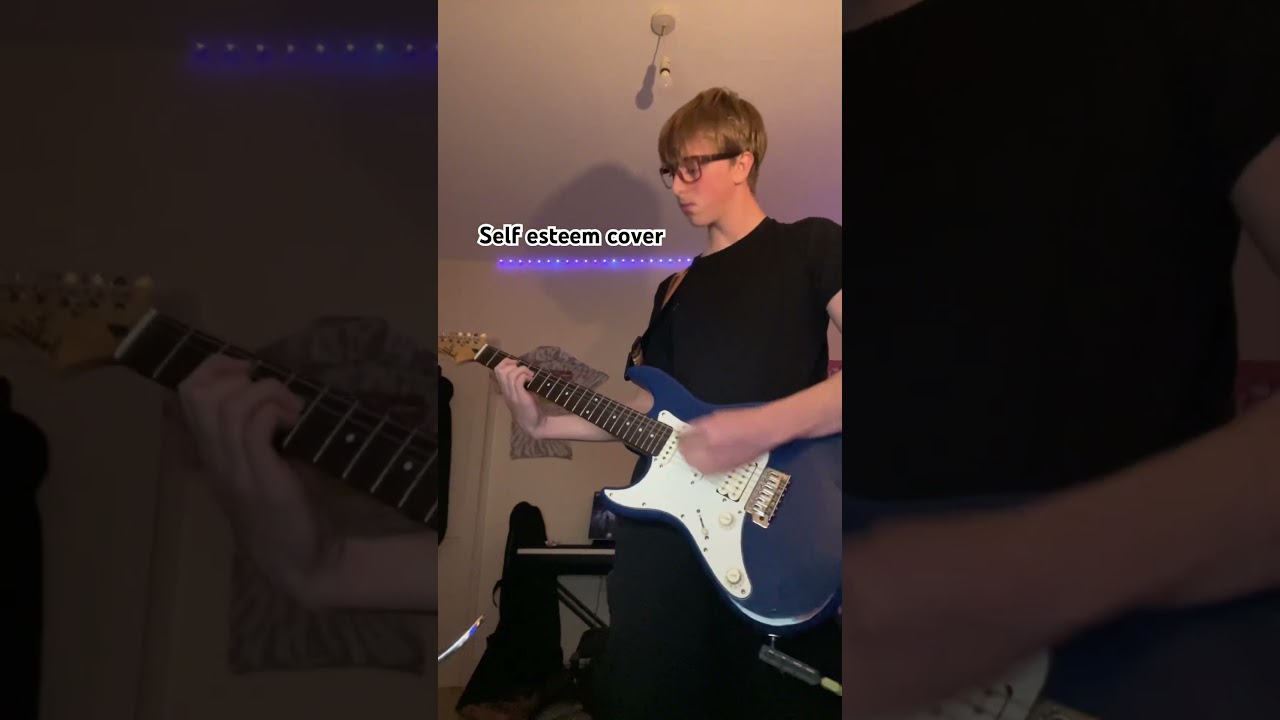 Self esteem by the offspring cover 