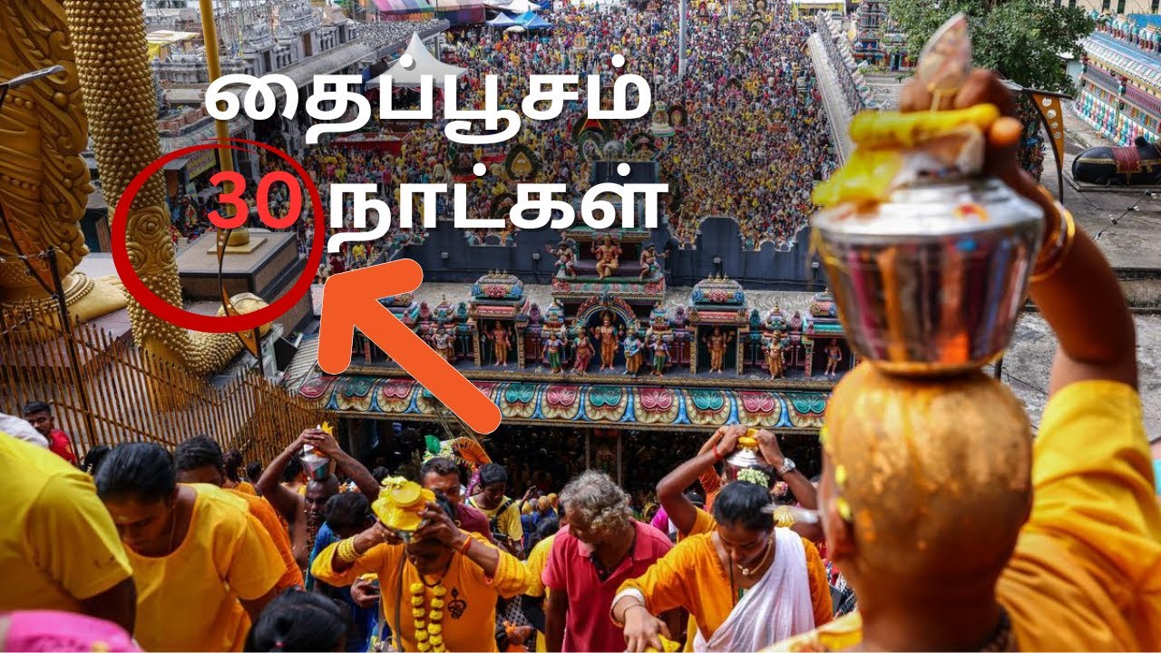 Thai Matham Kondatom ~ தை மாதத்தில் கொண்டாட்டம் in Batu Caves 🙏🏼🙏🏼🙏🏼
