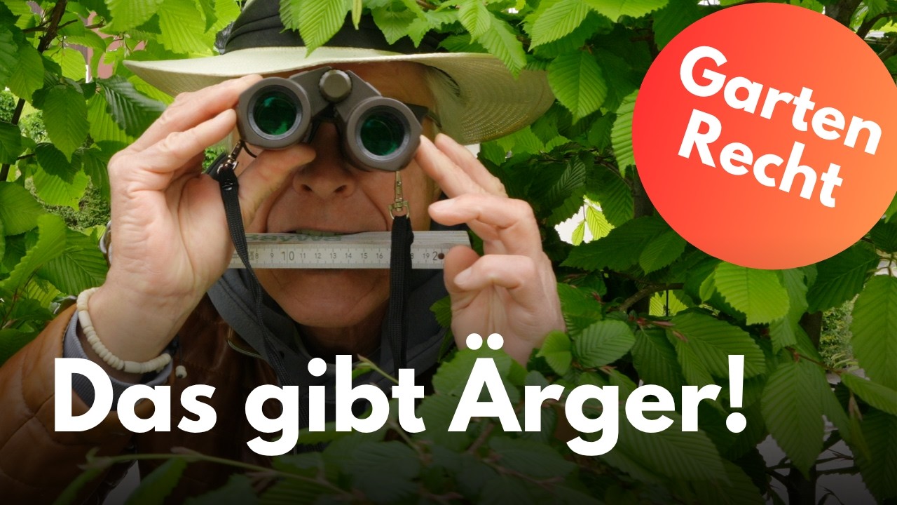 🇩🇪🌳 Grenzabstände für Hecken: Was erlaubt ist – und was Ärger gibt! 🇩🇪🌳