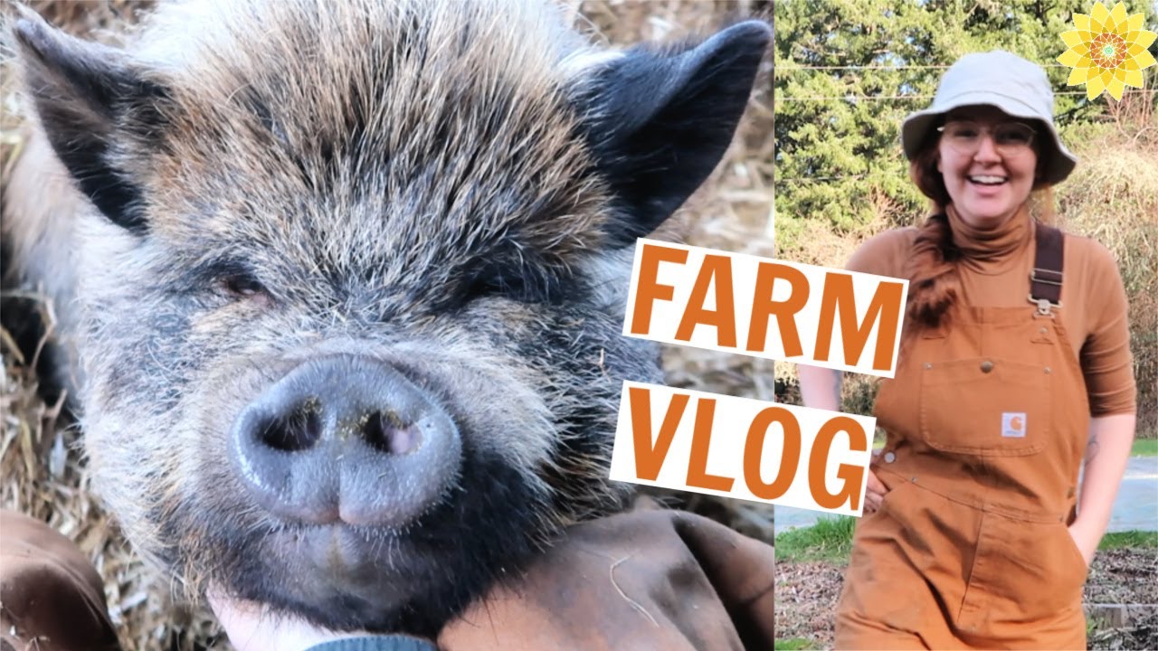 FARM VLOG | BUYING A HOUSE, GARDENING, & PIGS