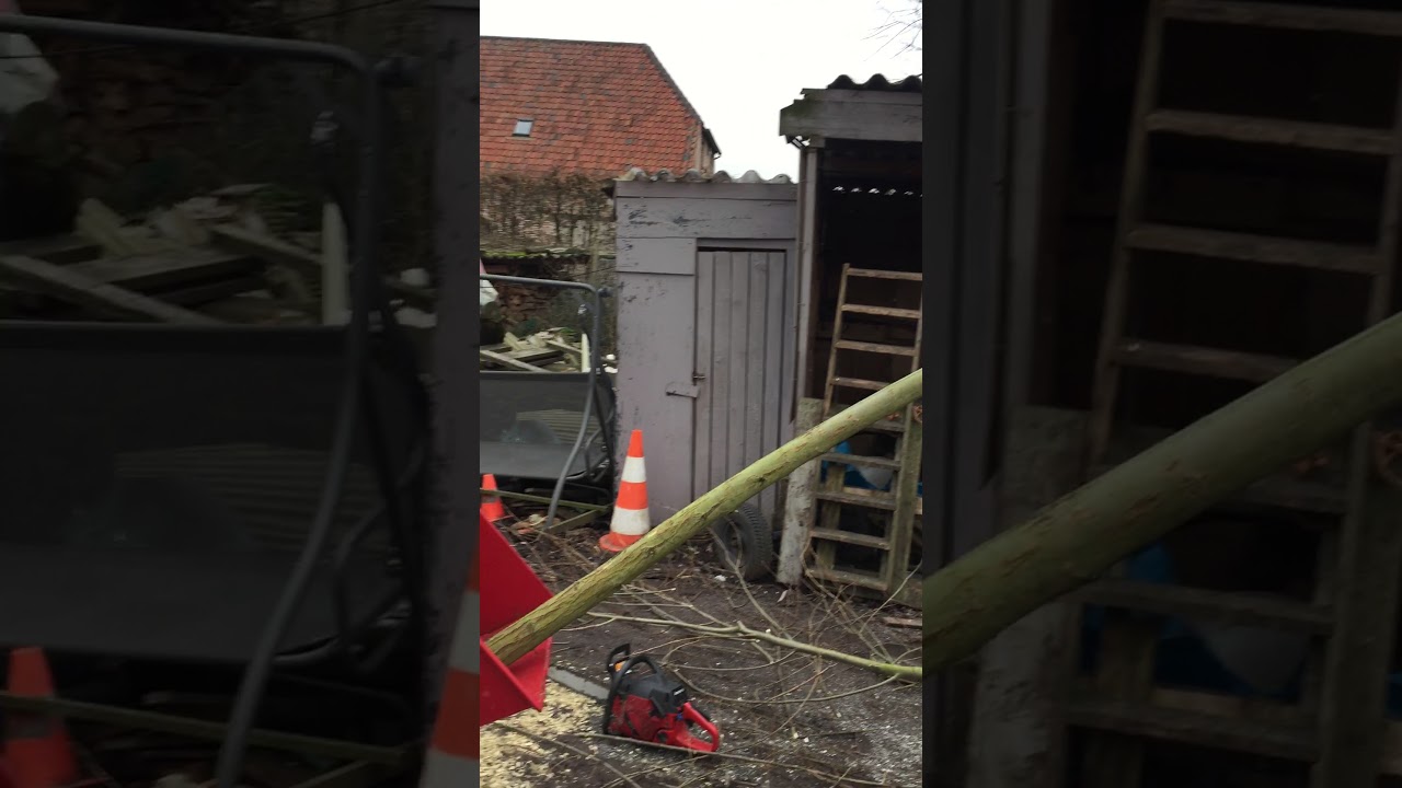 Hakselen met BX42 hakselaar