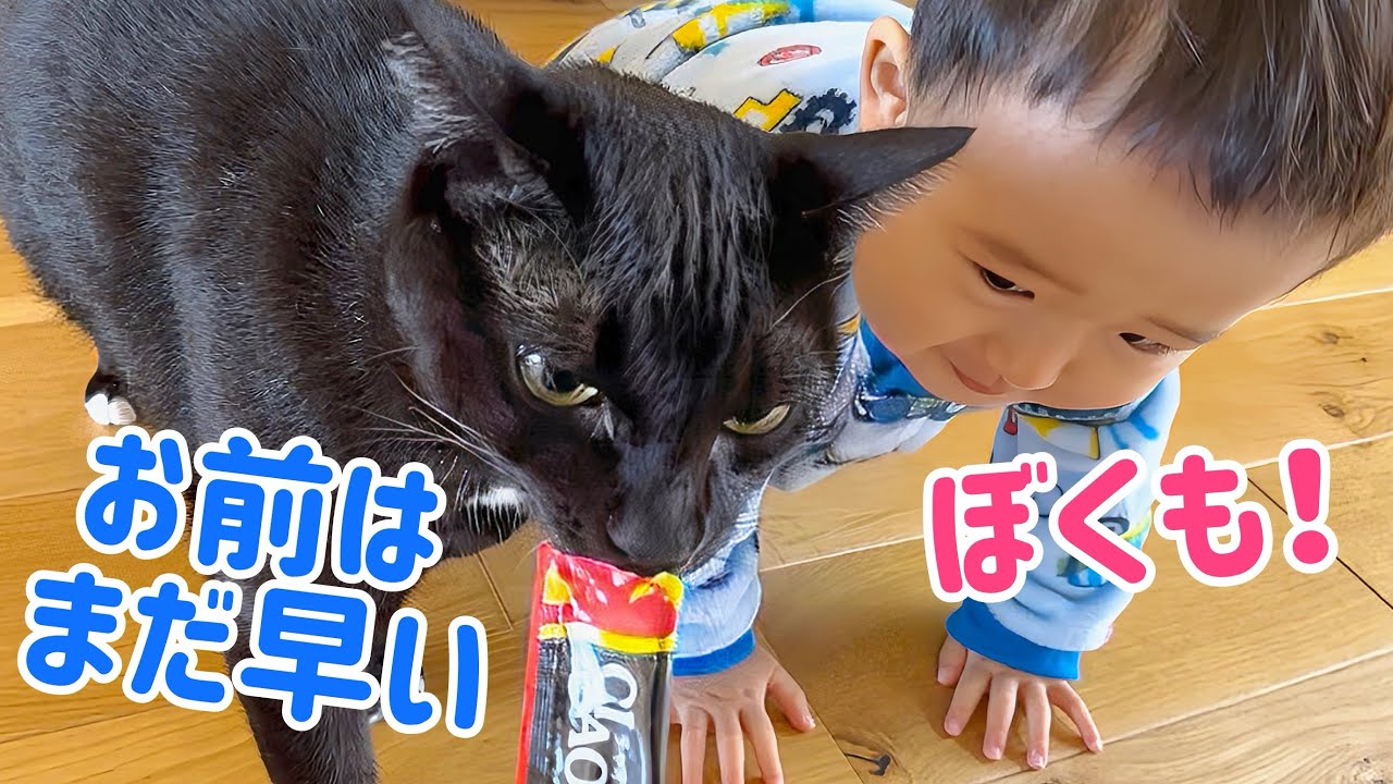 【猫と赤ちゃん】チュールを狙うふたりが 可愛すぎるw
